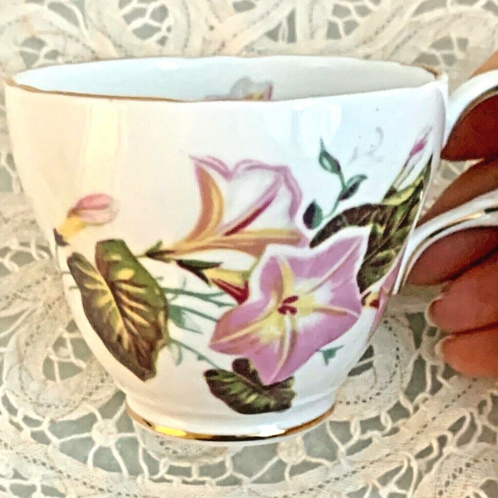 Bone China Tea Cup Saucer Morning Glory Pink Floral Regency England
